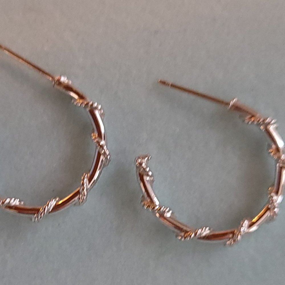 Earrings
